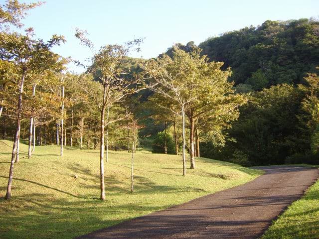 Le tour de la Forêt de Bois Blanc - Carte de La Réunion
