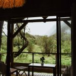 Hebergement Kanopea Lodge (1)