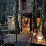 Kanopea Forest Lodge (1)